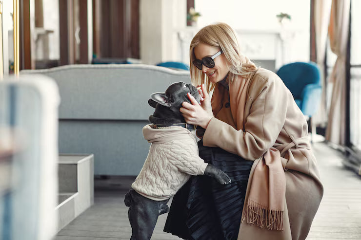 Comfort Meets Everyday Pet Fashion